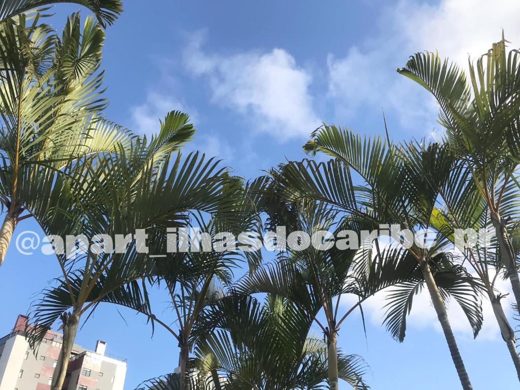 Fotografie z fotogalerie ubytování Apto Cond Ilhas do Caribe - Pr - Beira Mar v destinaci Matinhos