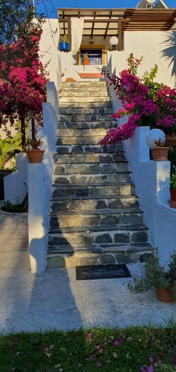 A garden outside Irini Studios