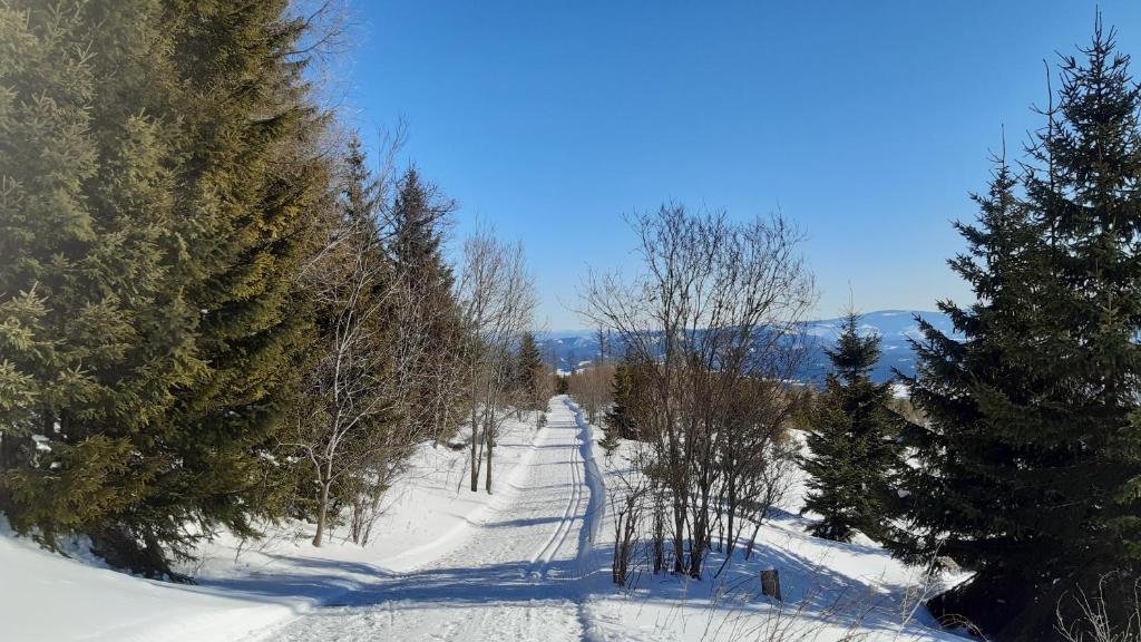 Apartmán Tatry Tatranská Štrba v zimě