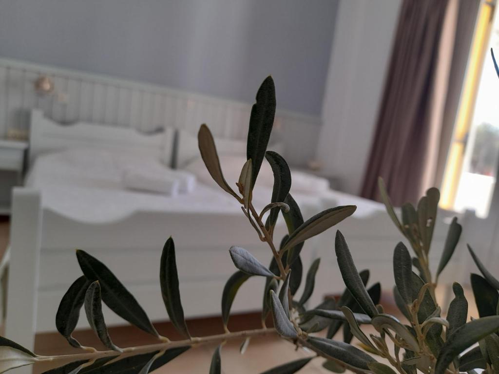 a plant in front of a bedroom with a bed at Elia in Skala