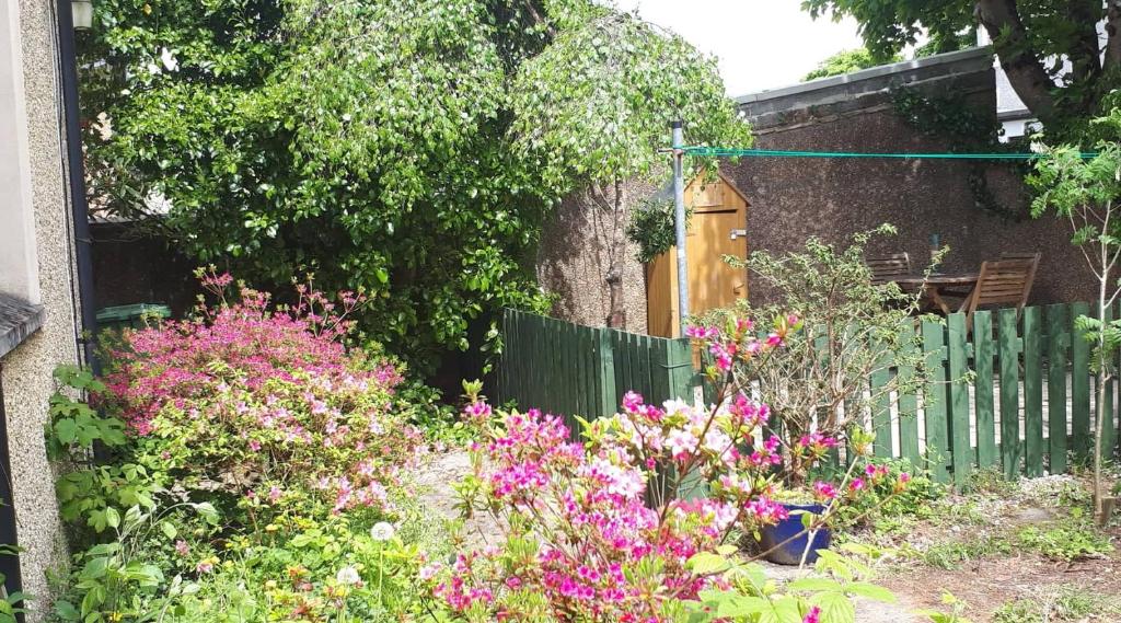 a garden with pink flowers in front of a fence at Logan Home in Stornoway