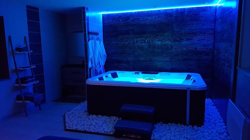 een badkamer met een bad en een aquarium bij Cosy Love & Spa Love room avec spa, hammam et sauna privatif in Cemboing