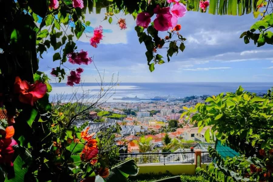 a view of a city from a bunch of flowers at Granny's house view in Funchal