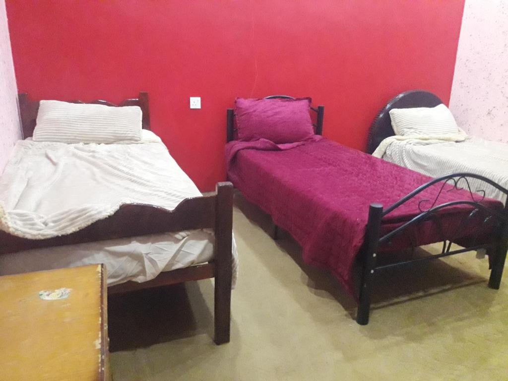 WadiRum Village Lodge - Carpa