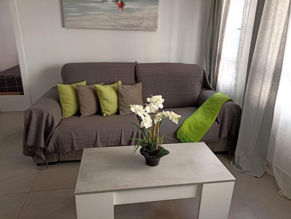Nice flat in the Center, Alicante – Bijgewerkte prijzen 2022