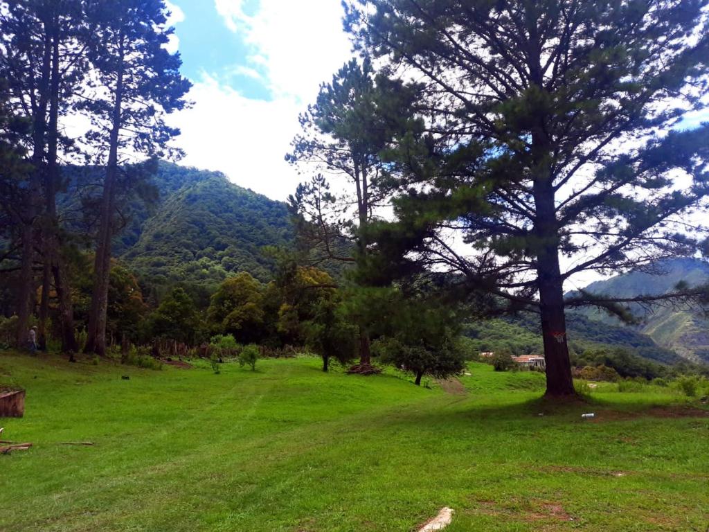 Don Marcos - Las Estancias de Aconquija