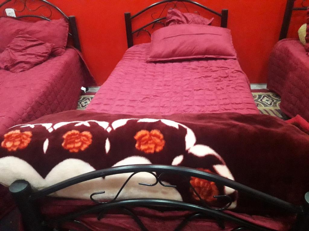 WadiRum Village Lodge - Carpa