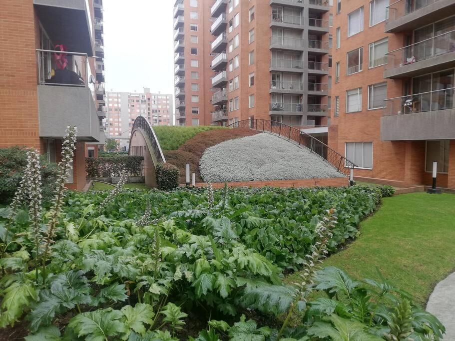 O grădină în afara Hermosa habitación privada en conjunto residencial cerca al Aeropuerto y terminal de Bogotá, zonas comunes se comparten con 1 persona