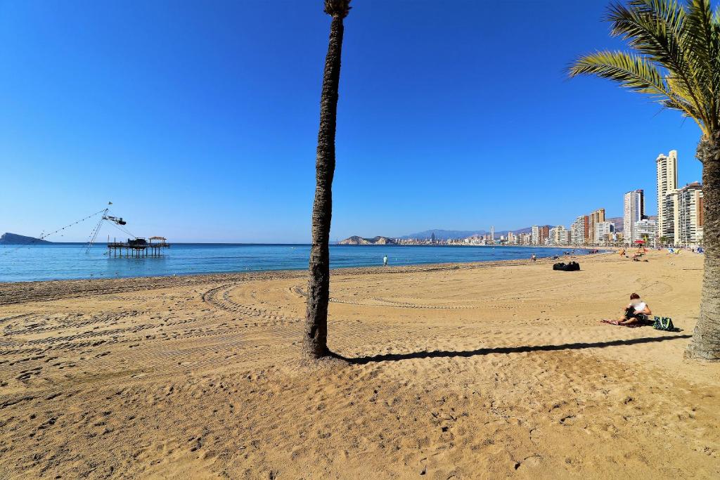 Seimar 1-8, Benidorm – Bijgewerkte prijzen 2022