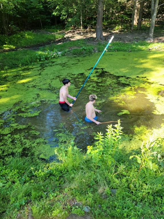 Hosté ubytování Rv adventure Roscoe Pet friendly