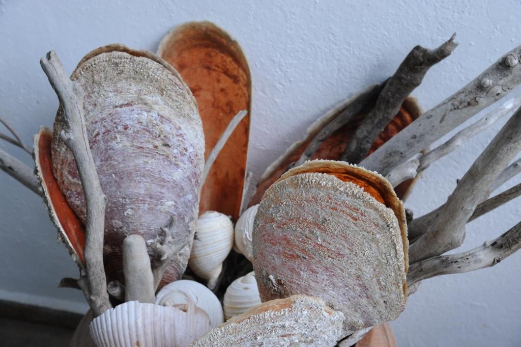 Fotografie z fotogalerie ubytování Thalassa Hotel v destinaci Amolianí