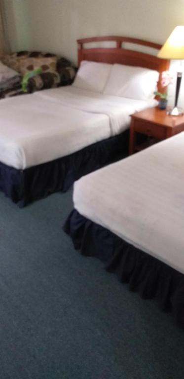 Private Unit Forest Lodge Lodge Camp John Hay - Luxe Familiekamer
