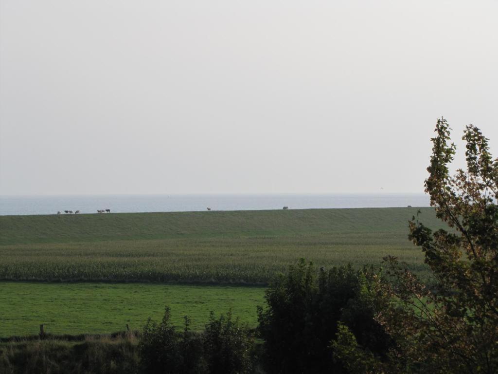 a large green field with animals in the distance at Rosenhof12 in Büsumer Deichhausen