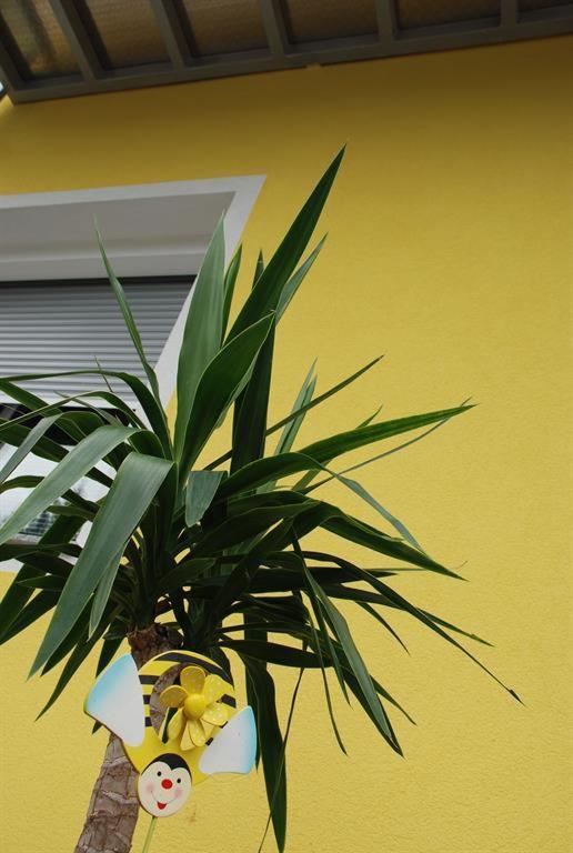Fotografie z fotogalerie ubytování Pension Agnes v destinaci Sankt Kanzian
