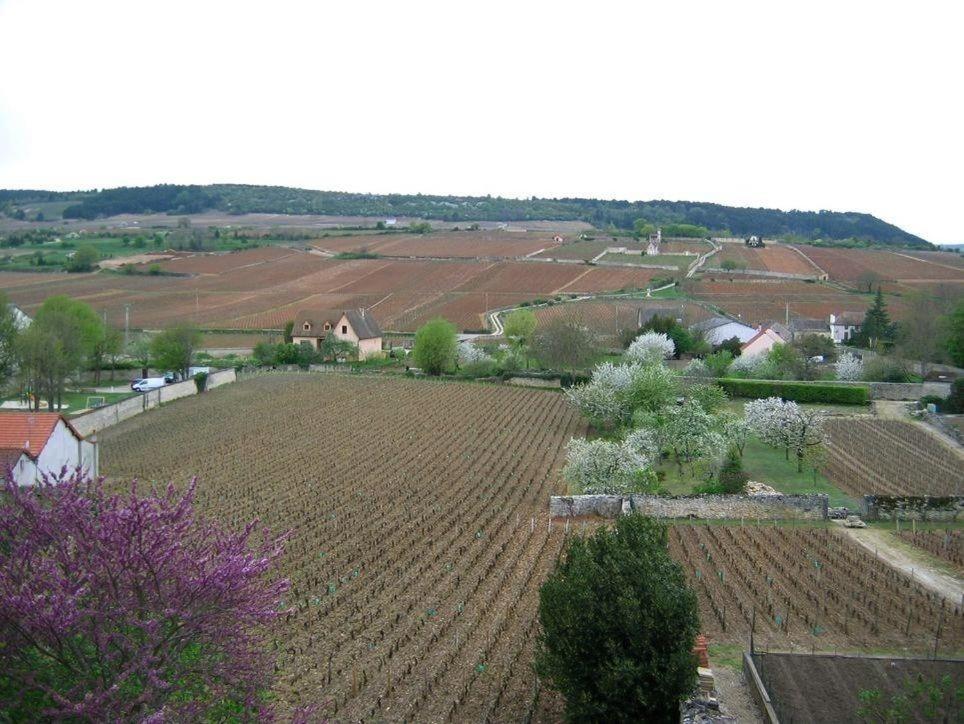 une vue aérienne sur un vaste champ de cultures dans l'établissement Les Meix sous le Château, à Meursault
