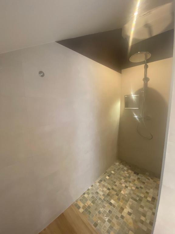 a bathroom with a shower with a tile floor at Chambres d&#39;hôtes - L&#39;Ecurie Obernai in Obernai