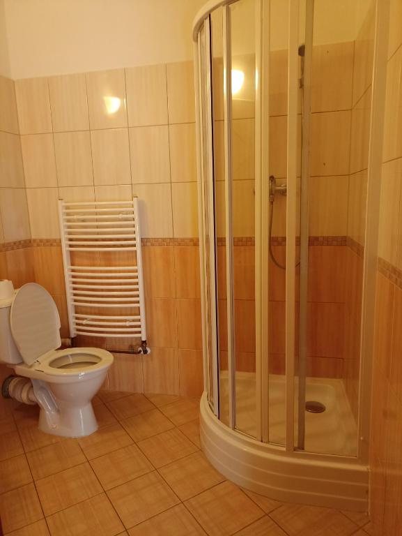 łazienka z toaletą i prysznicem w obiekcie Penzion a Restaurace Bělecký Mlýn w mieście Ptení