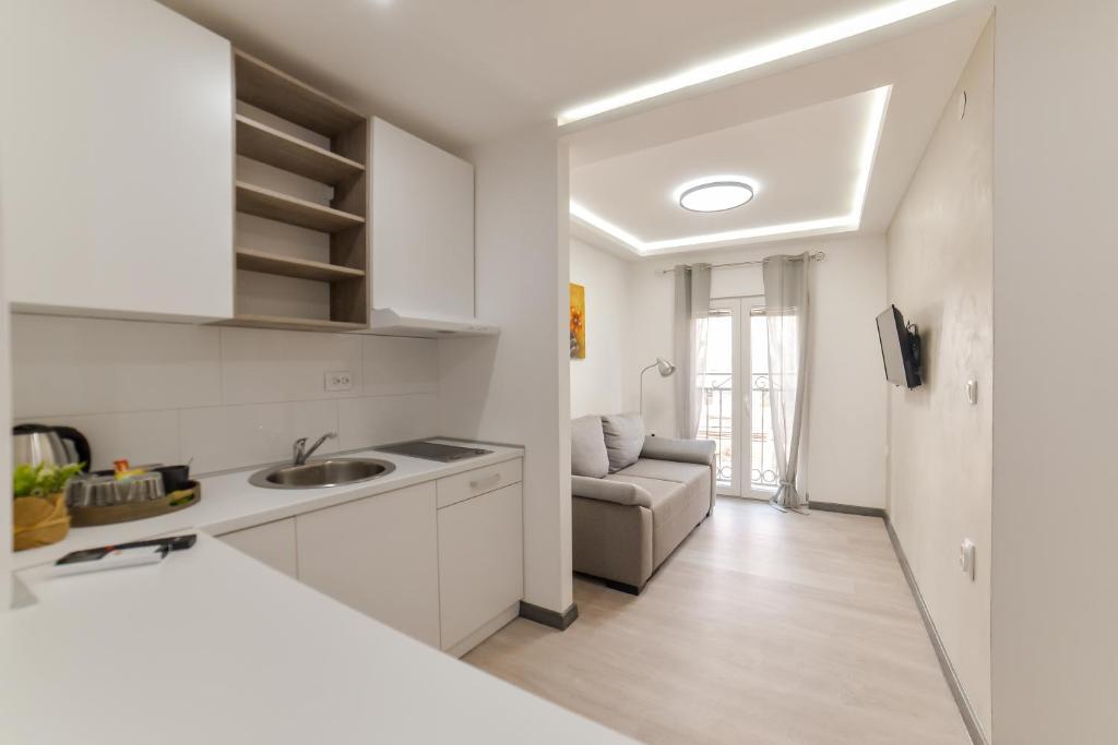 una cocina con fregadero y un sofá en una habitación en Apartmani Statik SD, en Smederevo