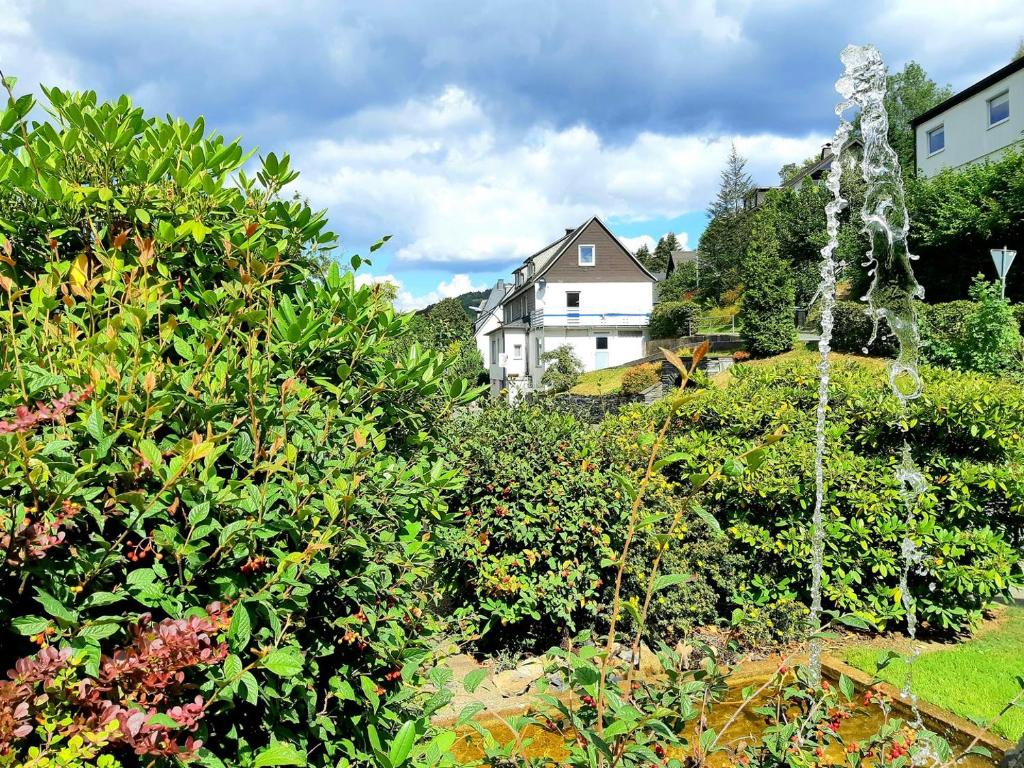une maison assise au sommet d'une colline avec des plantes dans l'établissement Vakantiehuis Bergfreiheit, à Winterberg