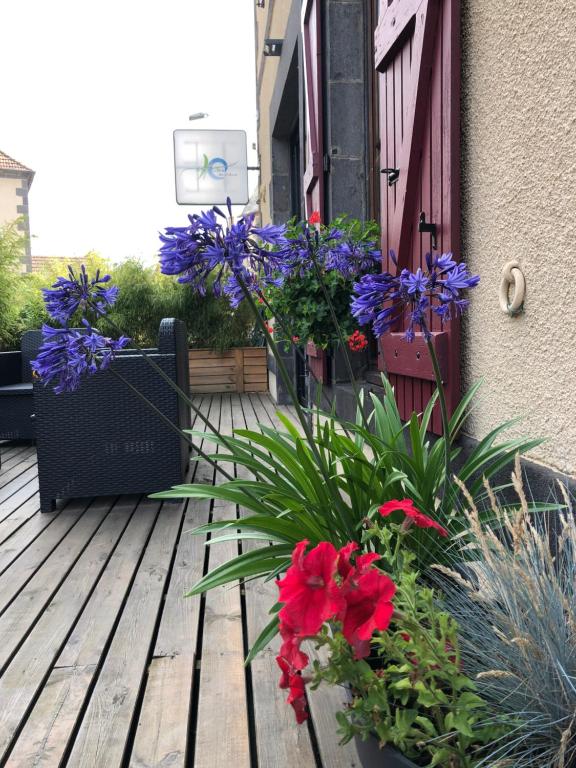 - une terrasse couverte avec des fleurs sur une terrasse en bois dans l'établissement A l'Aube des Volcans, à Charbonnières-les-Vieilles