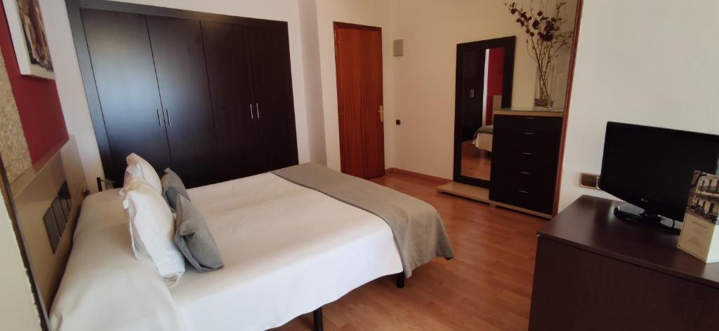 TV a/nebo společenská místnost v ubytování Hotel Segle XX