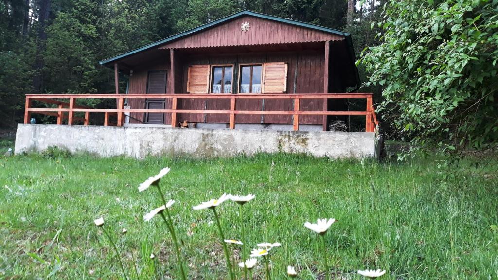 eine kleine Hütte auf einem Grasfeld in der Unterkunft Chata - Na samotě u lesa in Levín