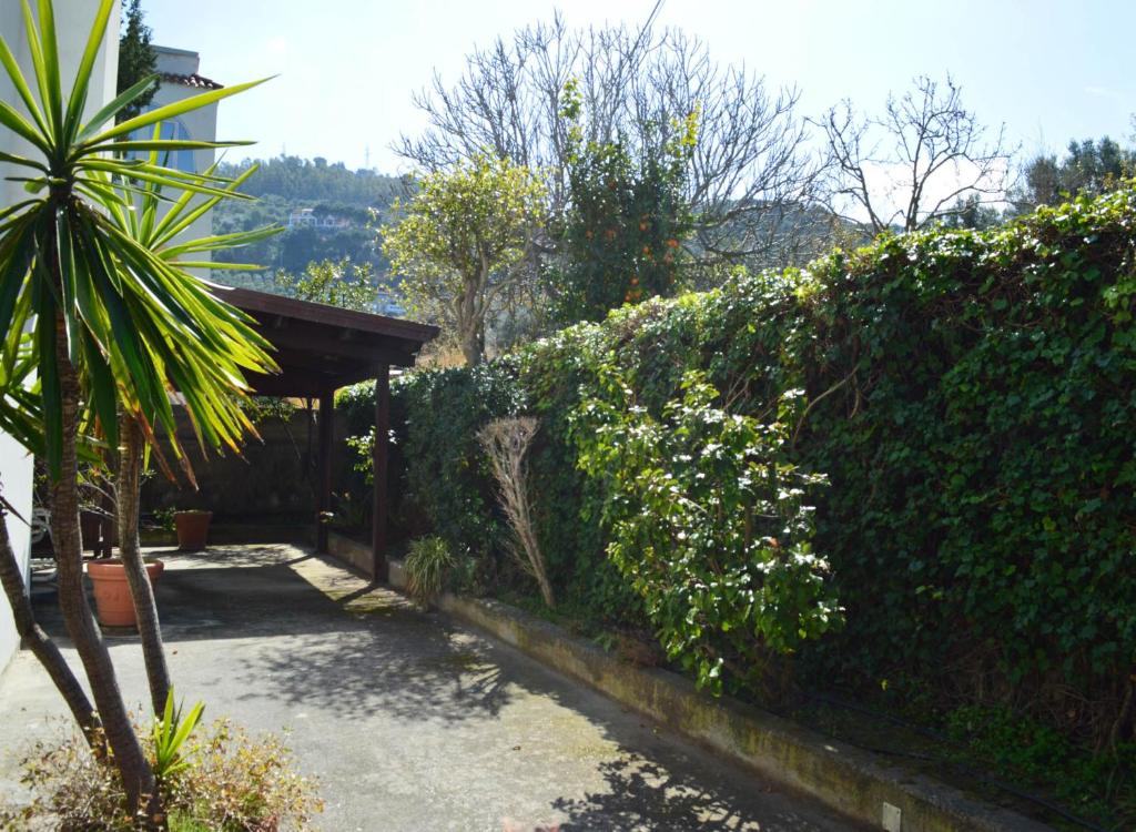 Ogród w obiekcie Villa Luigina - seafront villa in Capo d'Orlando