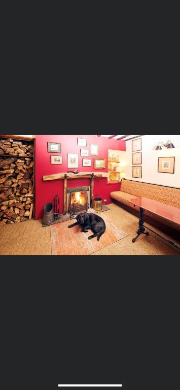 a cat laying on the floor in a living room with a fireplace at The Red Lion in Sedbergh