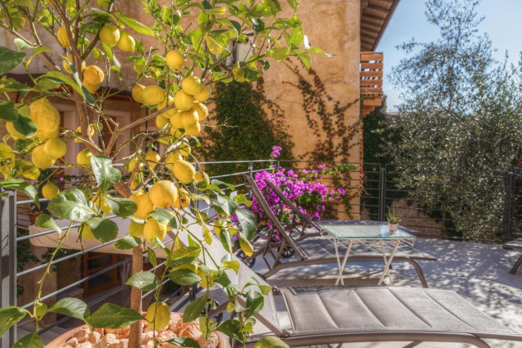 Zahrada ubytování Corte Alma Spa and Luxury Home