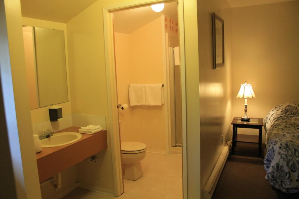 uma casa de banho com um lavatório, um WC e um espelho. em Orca Inn em Alert Bay