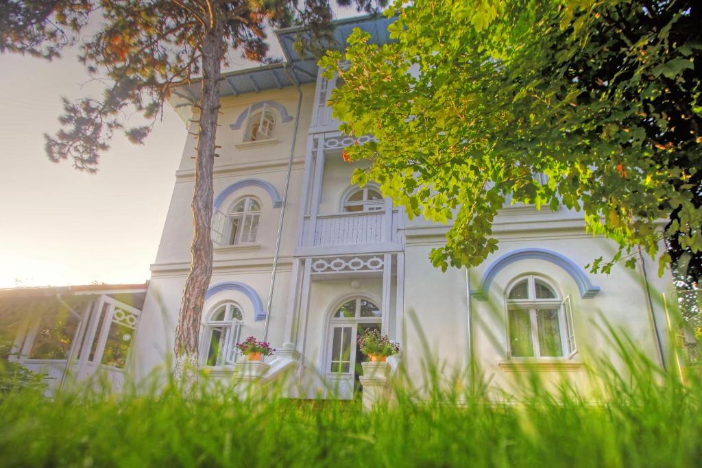 a white house with windows and a tree at Vila Brancoveanu in Eforie Sud