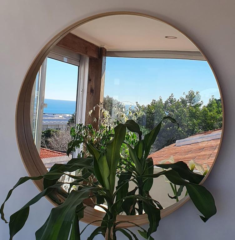 a mirror with a plant in front of a window at White House in Parede