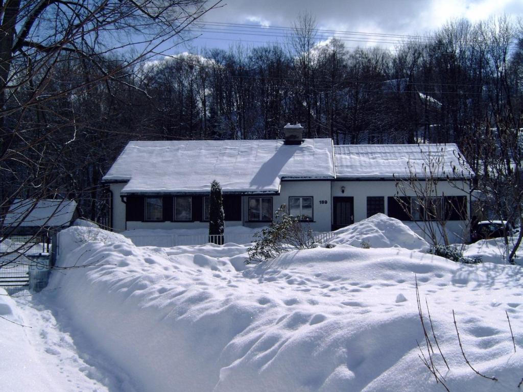 Fotografie z fotogalerie ubytování Serene Holiday Home in Mladé Buky with small pool, Trampoline & Skiing Nearby v Mladých Bukách