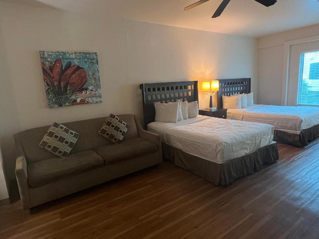 Sunchase Inn & Suites - Reine De Luxe Avec Kitchenette Et Canapé-lit