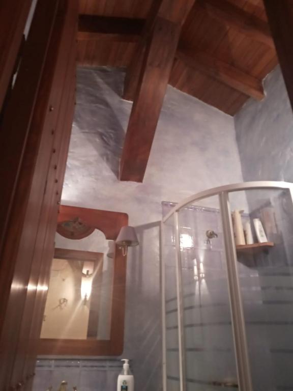 een badkamer met een glazen douche en een houten plafond bij La casita de Manuel in Zahara de la Sierra