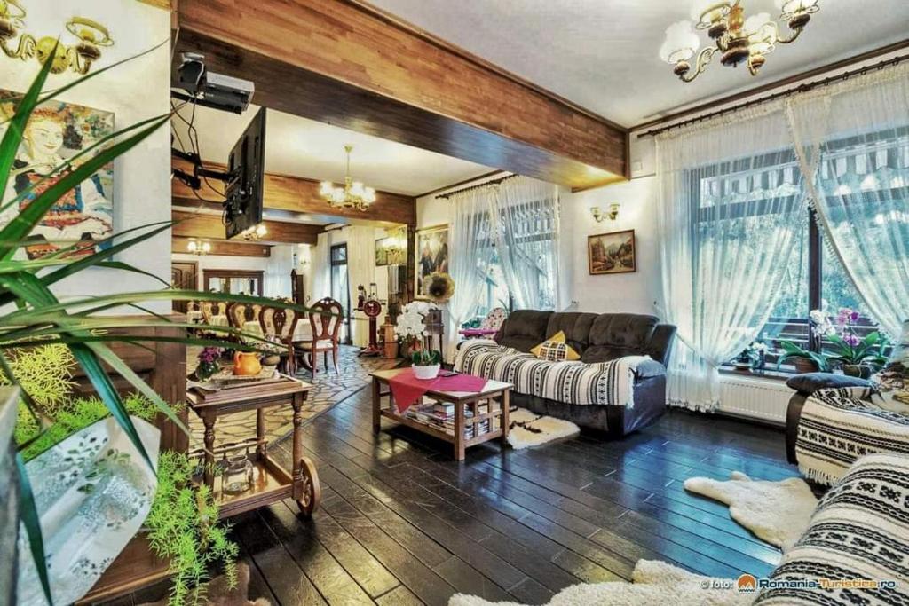 Posezení v ubytování Casa Baciu