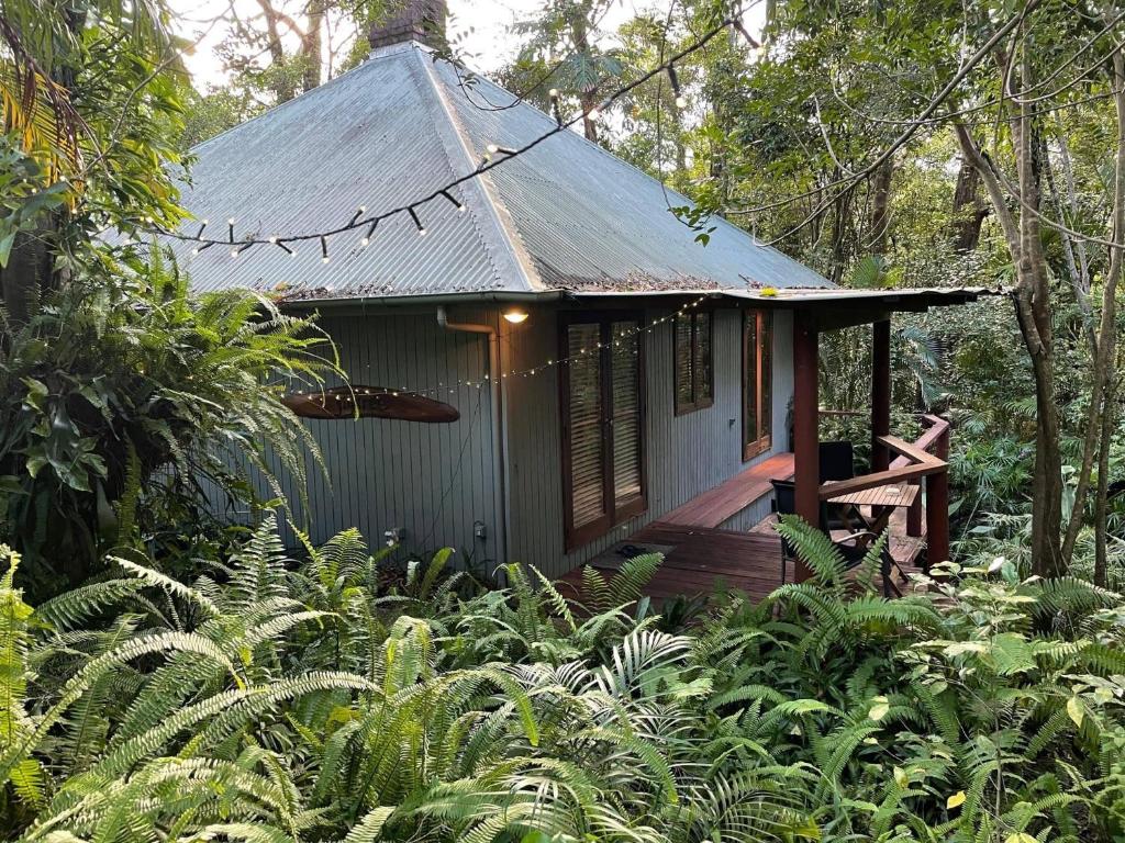 a small house in the middle of a forest at Hunchy Hideaway in Montville