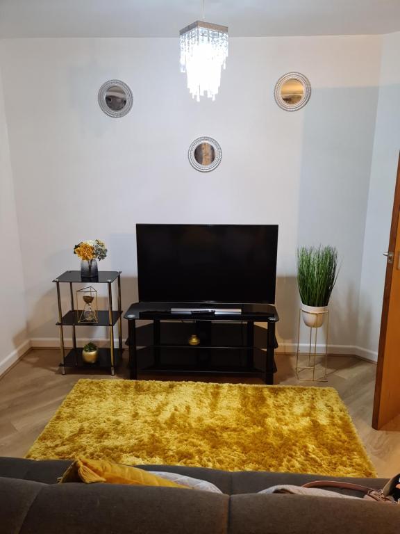 a living room with a tv and a yellow rug at Cosy Apartment, Peckham Rye in London