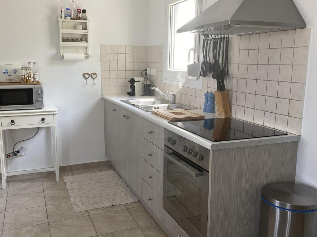 Kuchyň nebo kuchyňský kout v ubytování Stylish Villa in Loutra