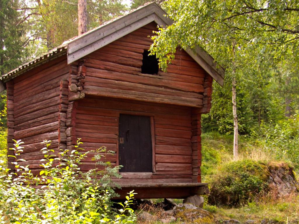 Příroda nedaleko hostelu