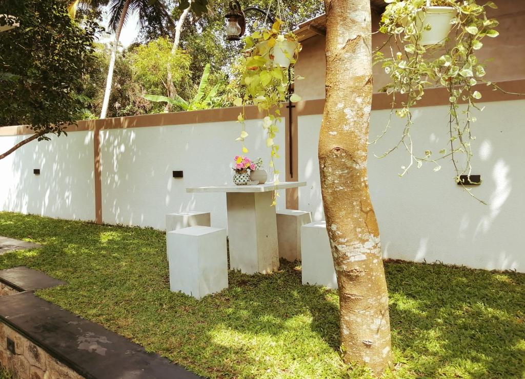 Zahrada ubytování Ceylonima Home Stay