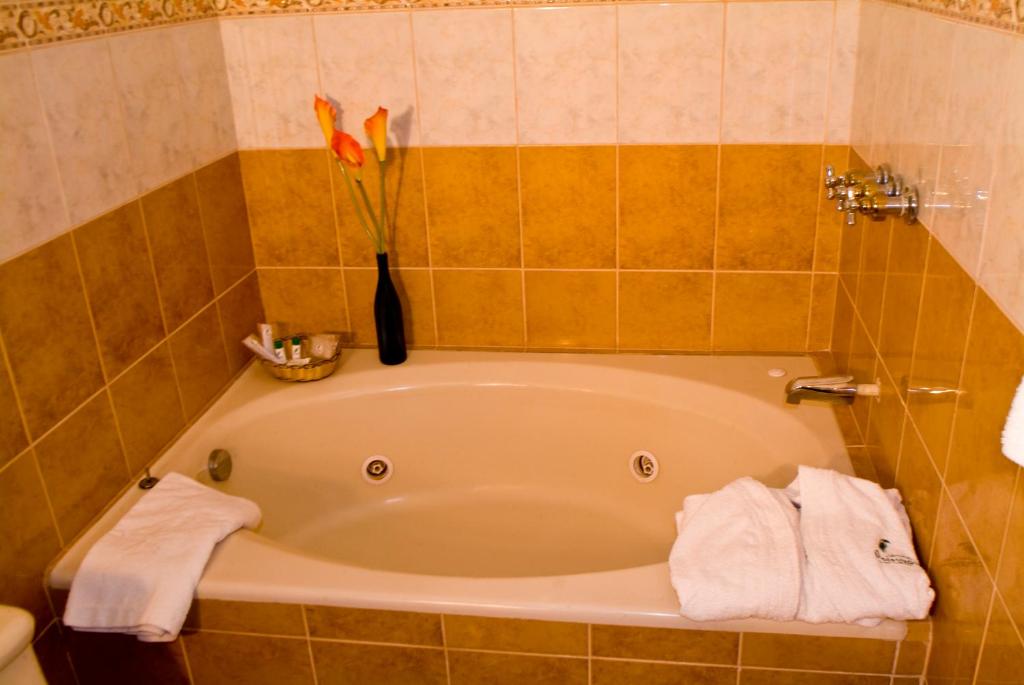 Ванная комната в Hotel Podocarpus