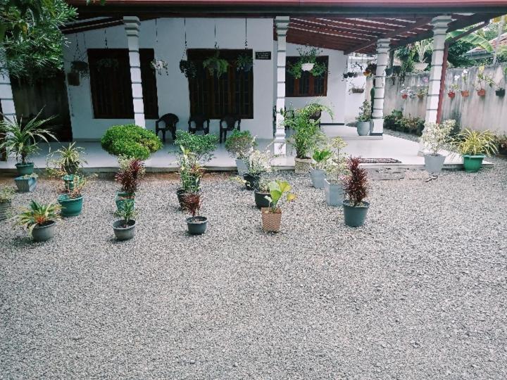 Mirissa – Photos 2