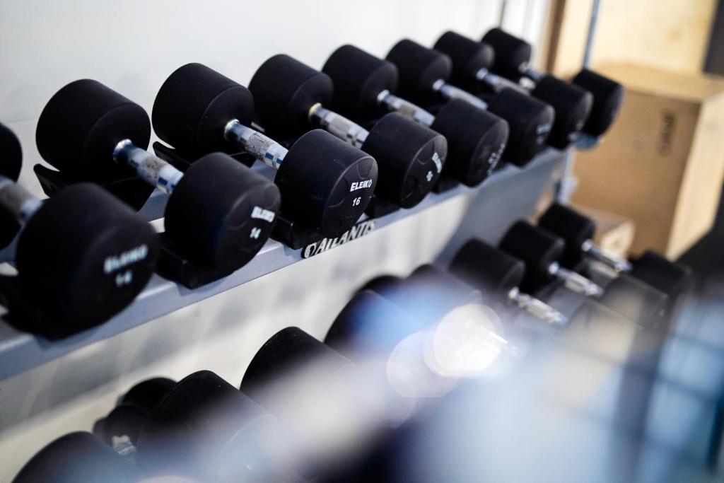 Fitness centrum a/nebo fitness zařízení v ubytování Camp Ripan