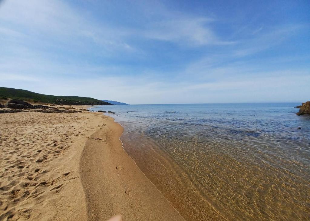 En strand i nærheden af lejligheden