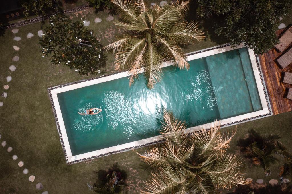 an overhead view of a swimming pool with a palm tree at Bali Mynah Villas, Balangan Beach in Jimbaran