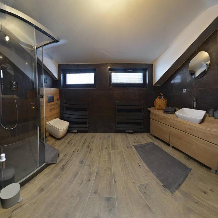 W łazience znajduje się prysznic, umywalka i toaleta. w obiekcie Apartmány Fun & Relax Dolní Morava w mieście Dolní Morava