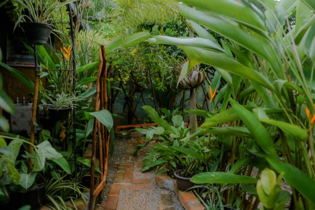 Zahrada ubytování Ruwan Jungle Homestay