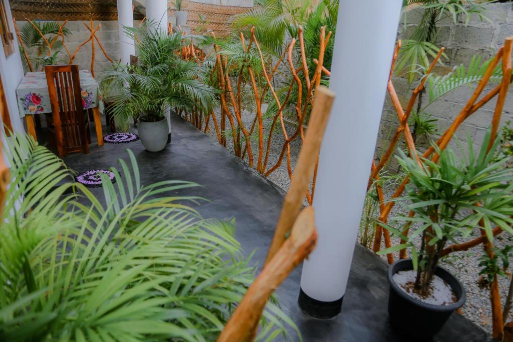 Zahrada ubytování Ruwan Jungle Homestay