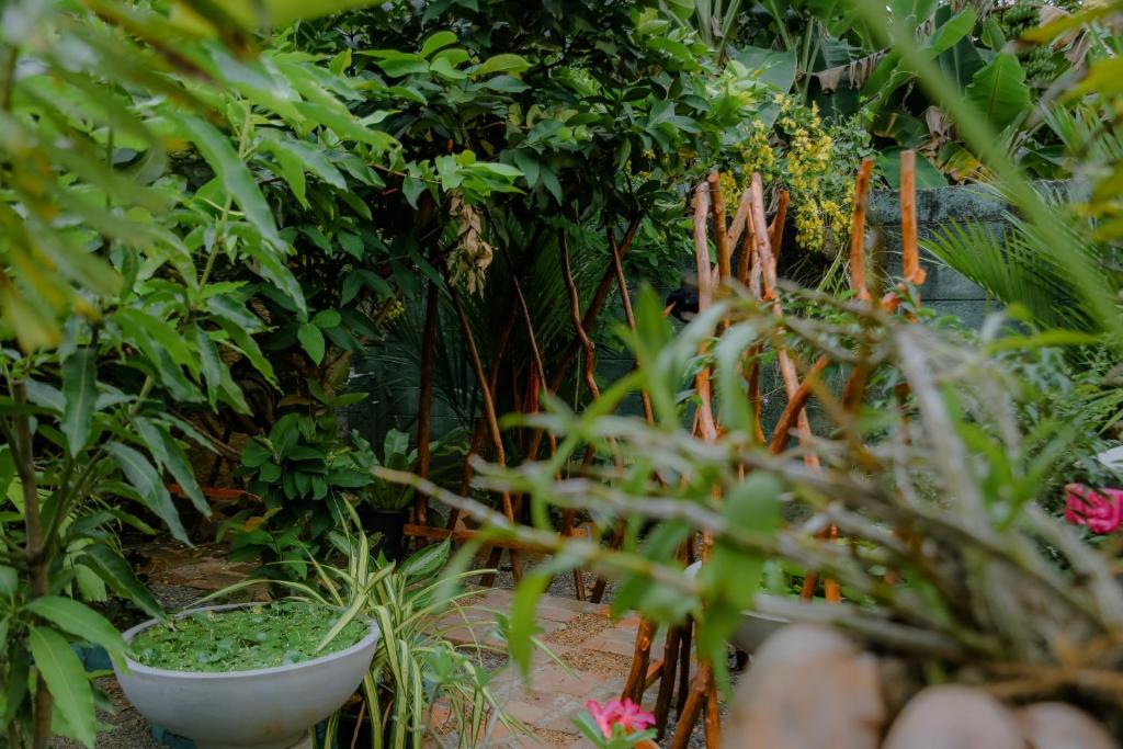 Zahrada ubytování Ruwan Jungle Homestay